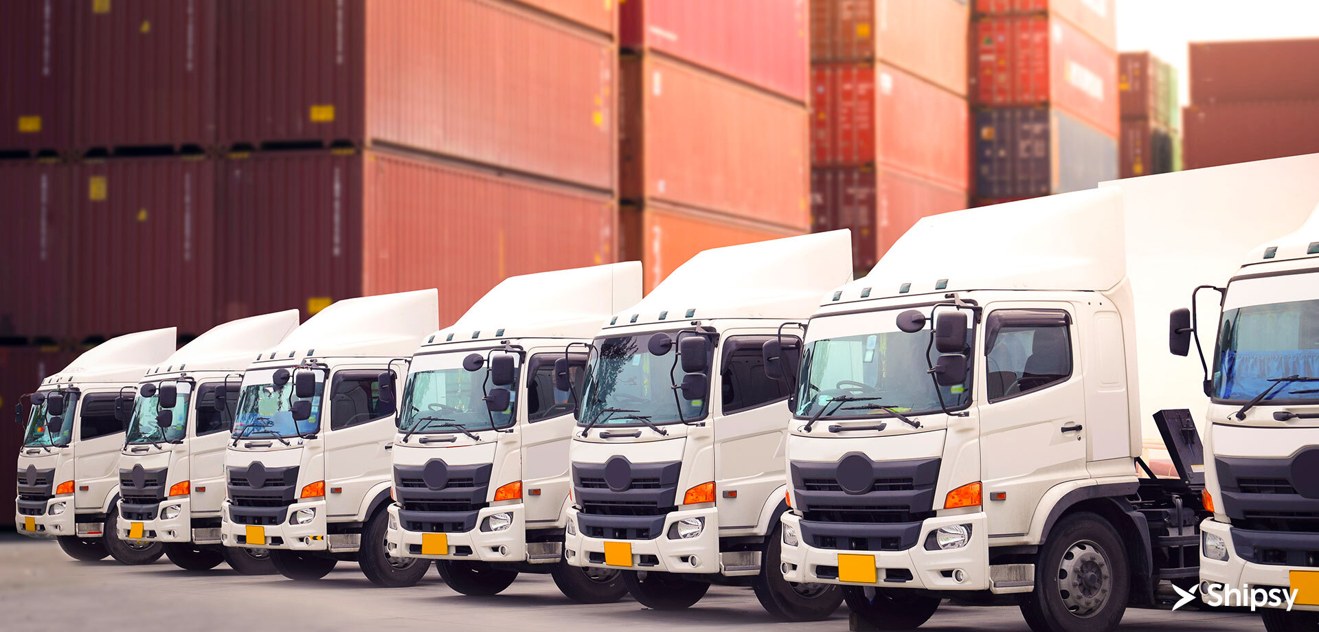 What is Fleet Management and Why is it Necessary