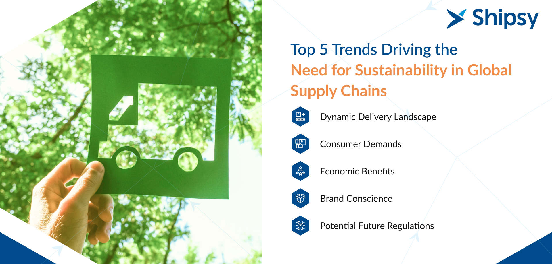 Supply chain sustainability trends