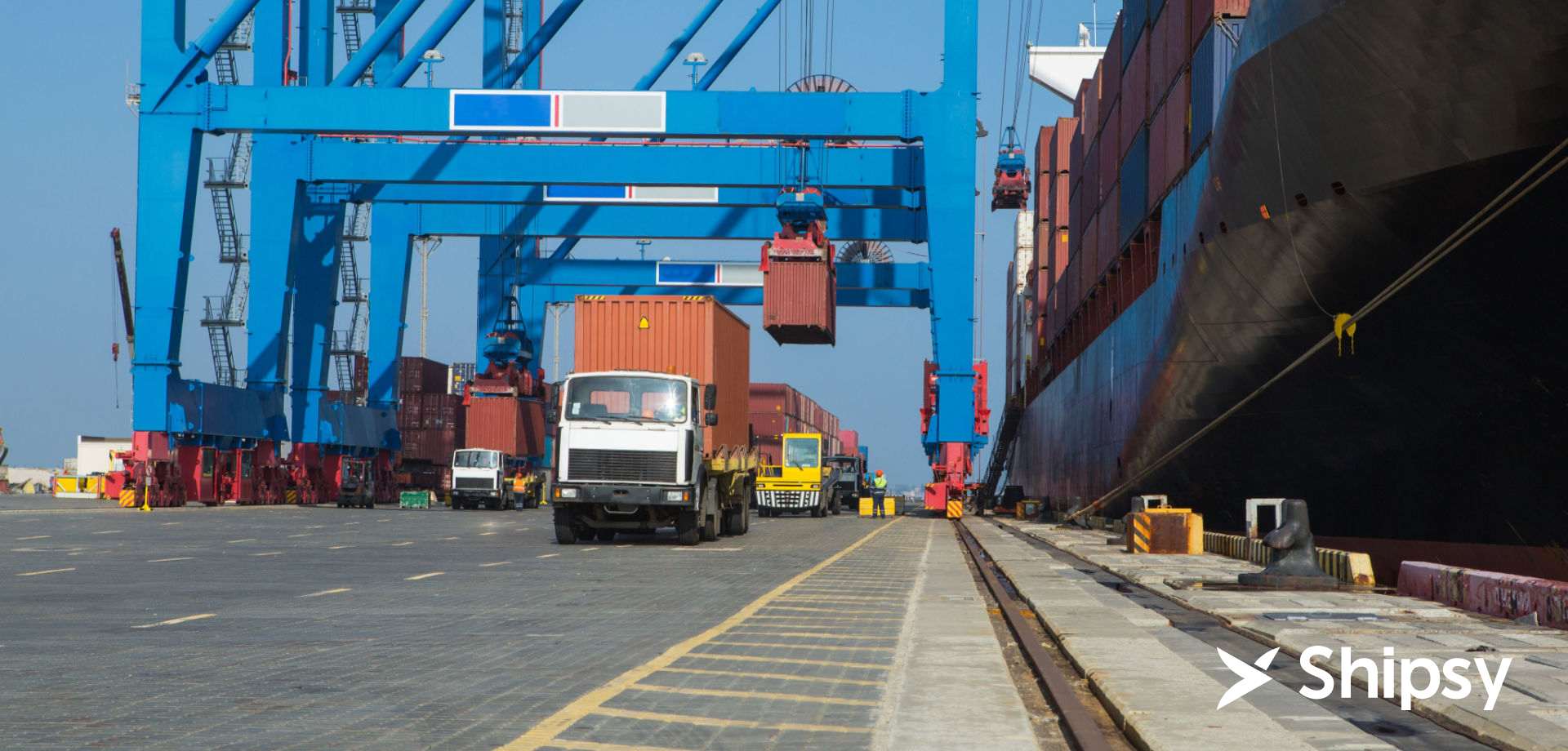 Looking for the Best Freight Management Software in UAE? Know These Things First!